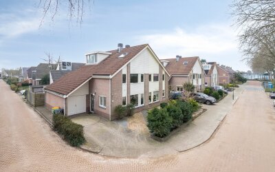 Tijger 24