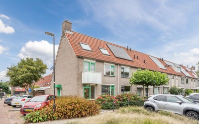 Paradijsvogel 54