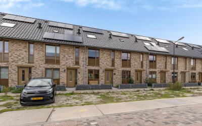 Gibbon 35