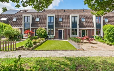 Heintje Dav. 5