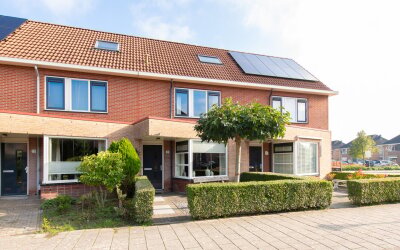 Roerdomp 81