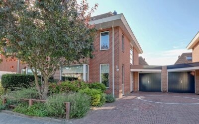 Roerdomp 8