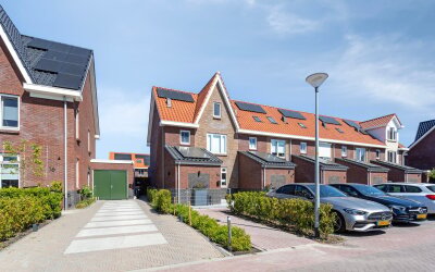 Lutjelant 14