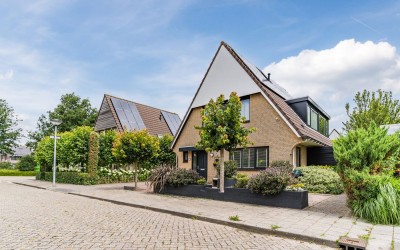 Koninginnekruid 10
