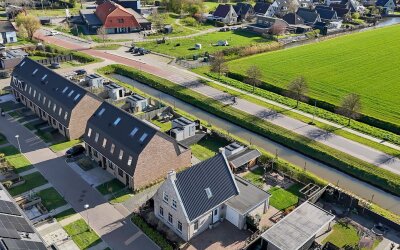 Boterbloem 2