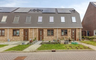Boterbloem 9