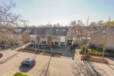 Tulpstraat 14