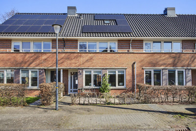het Zwin 14