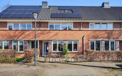 het Zwin 14