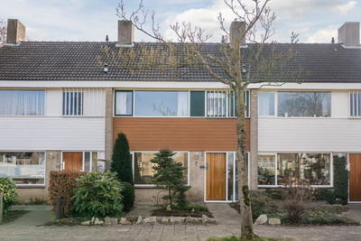 Esdoornstra. 50