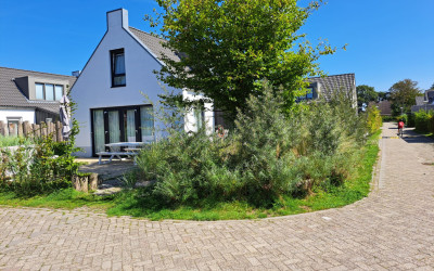 De Wielen 55