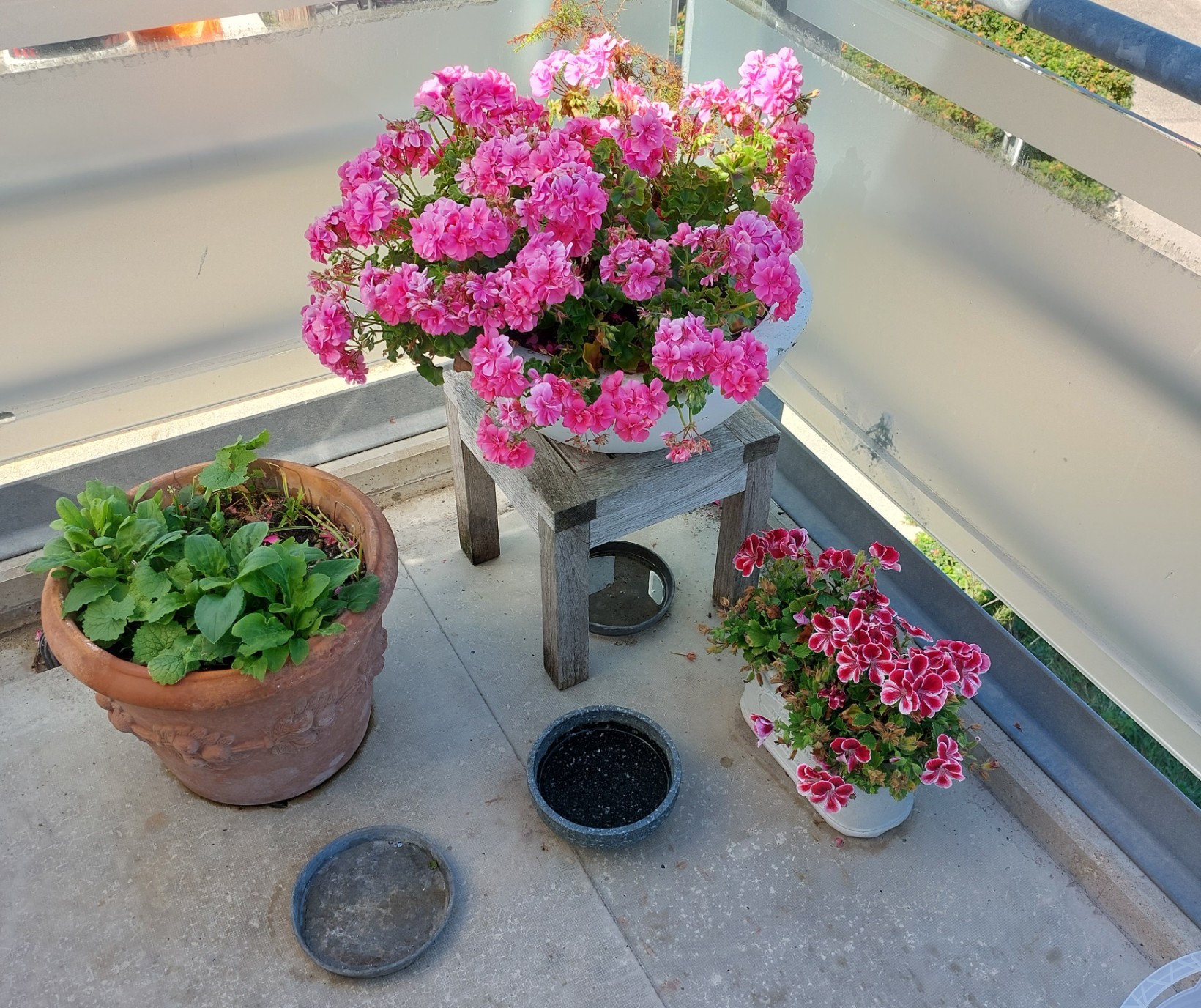 Appartement te koop: Dorpsplein 15D, Callantsoog