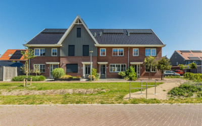 Goudhaver 16