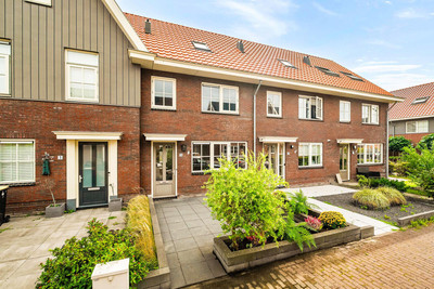 Goudhaver 5