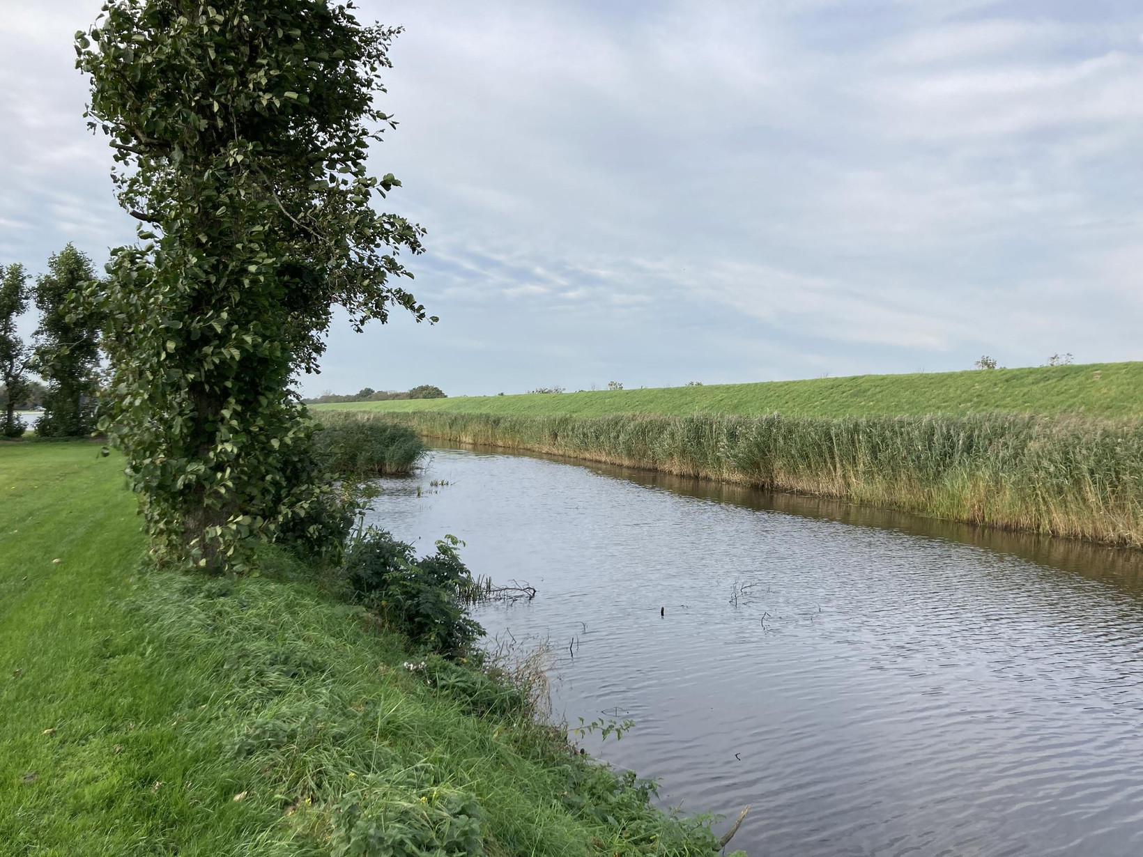 Woning te koop: Balgweg 12C, Breezand