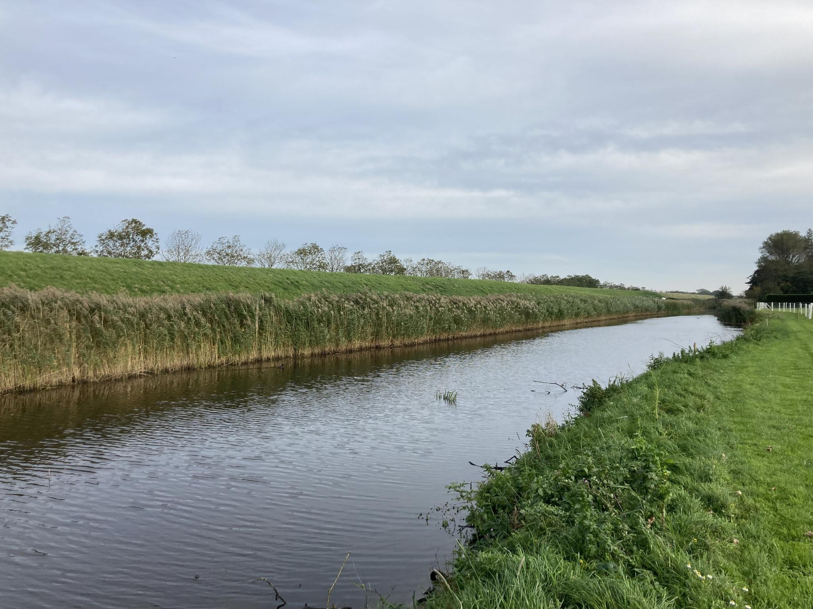 Vrijstaande woning te koop: Balgweg 12, Breezand