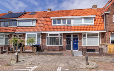 Goudsbloems. 12