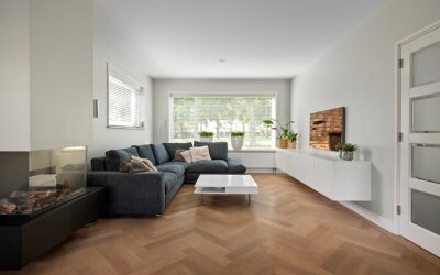Lauwerszees. 10