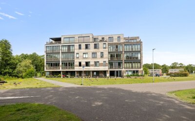 Eikenhout 333