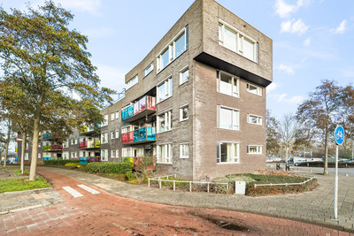 Drooghe Bol 2029