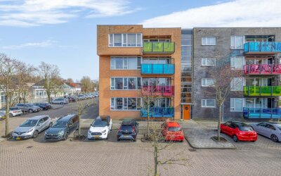 Drooghe Bol 2038