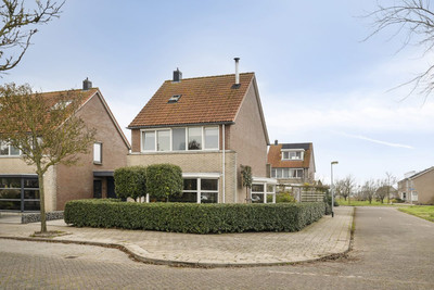 Boterzwin 4401