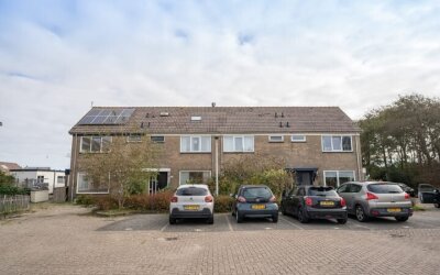 Wintergroen 29