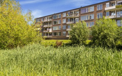 Asselijnstraat 18