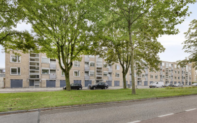 Willem de Z. 118