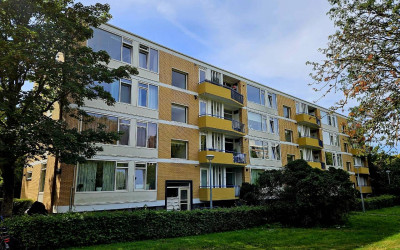 Van Ostadel. 8