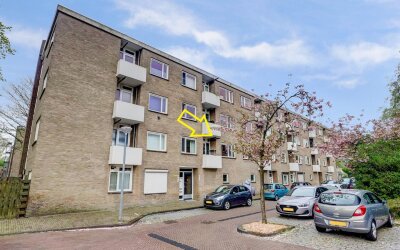 Lievenshof 31