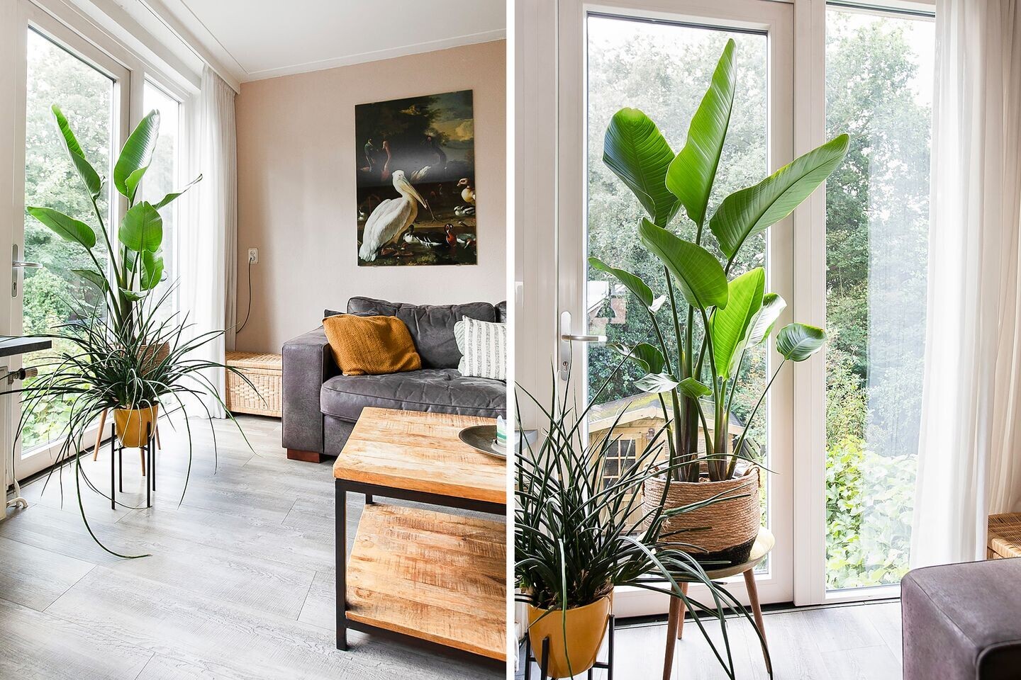 Tussenwoning te koop: Broekerwaard 60, Alkmaar