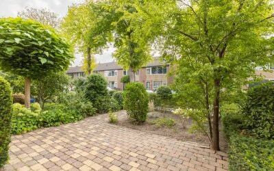 Stetwaard 26