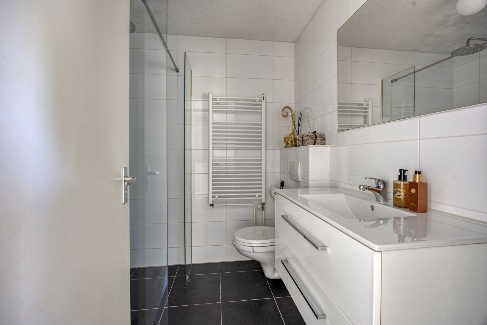 Appartement te koop: Schoenmakerstraat 56, Alkmaar