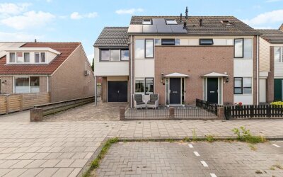 Morgen 41