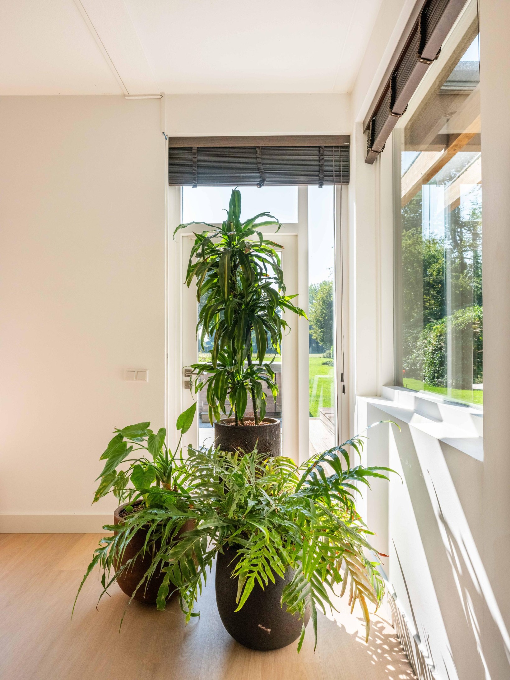 Vrijstaande woning te koop: Buerweg 15, Bergen (Nh)