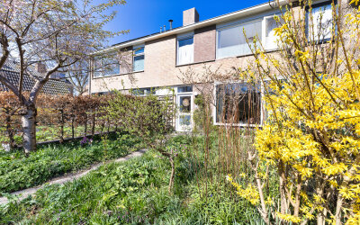 Hulstplantsoen 66