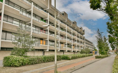 C.F. Smeets. 100