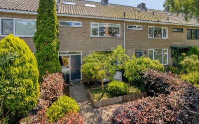 De Loet 7