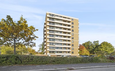 De Loet 264