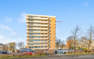 De Loet 266