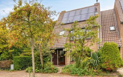 Droogbloem 1