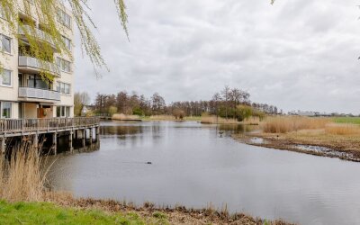 Oosterweide 95