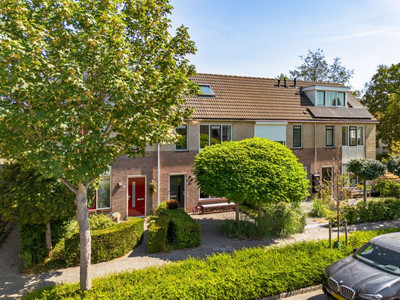 Zomerschoon 30