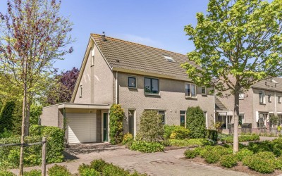 Zomerschoon 55
