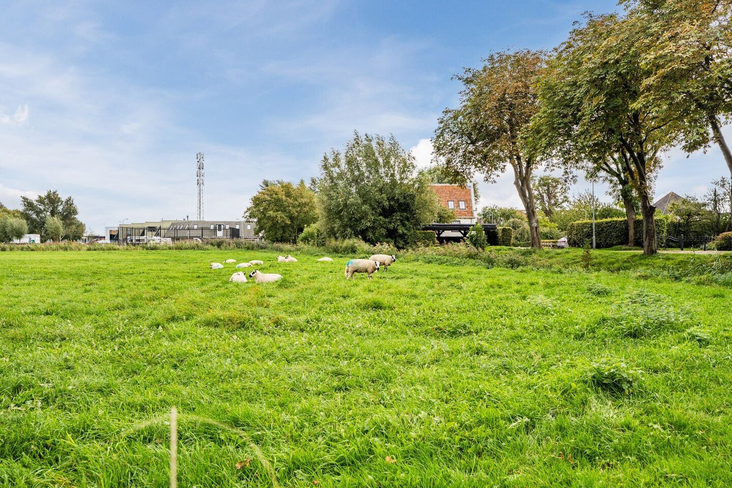 Appartement te koop: Egmonderstraatweg 7E, Egmond Aan Den Hoef
