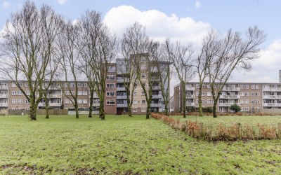 Adigestraat 184