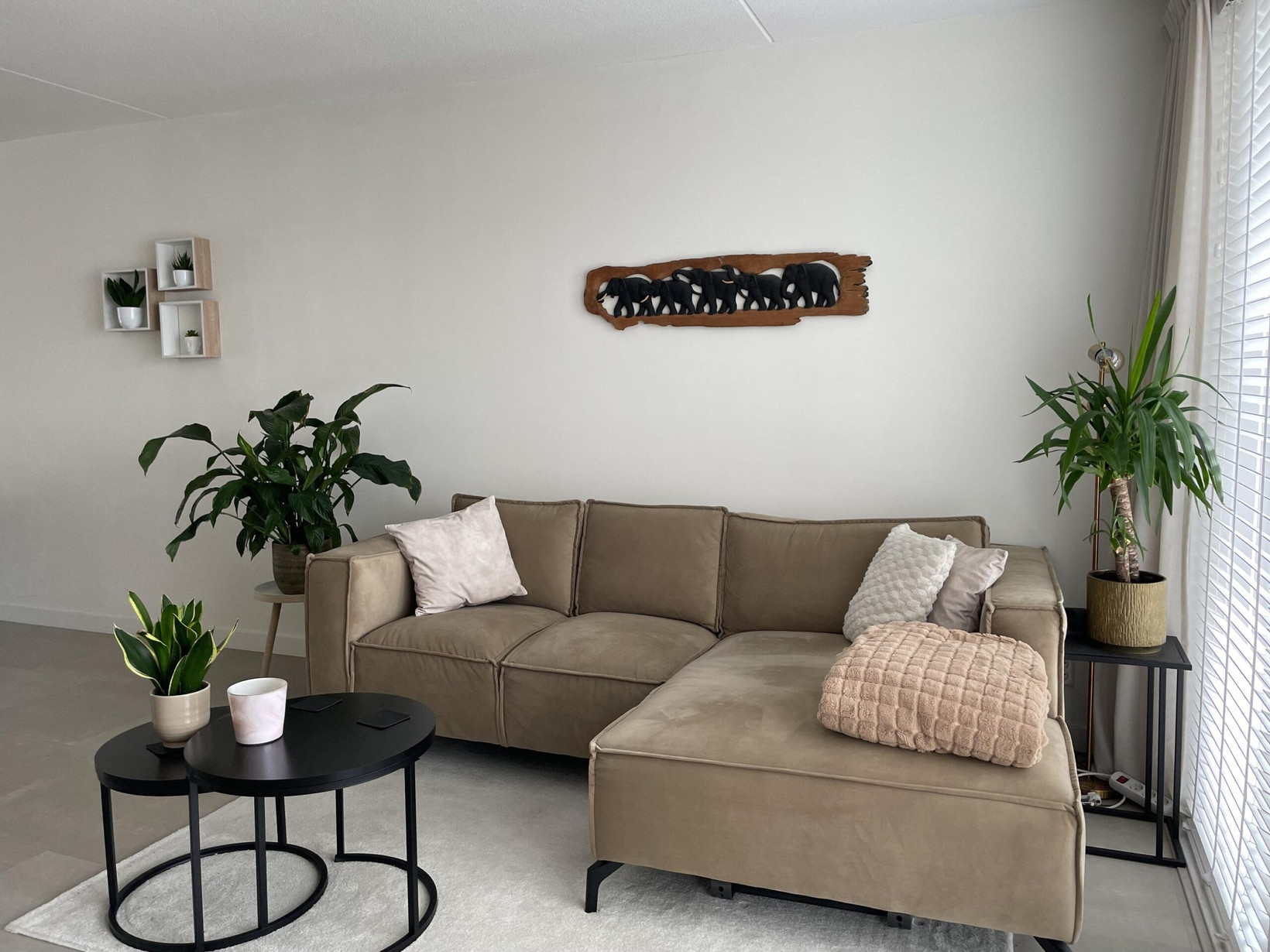 Appartement te huur: Vennelaan 74, Beverwijk