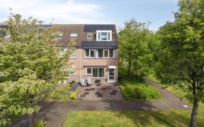 Leverkruid 28