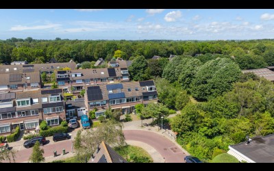 Leverkruid 30